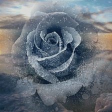 Схема вышивки «róża»