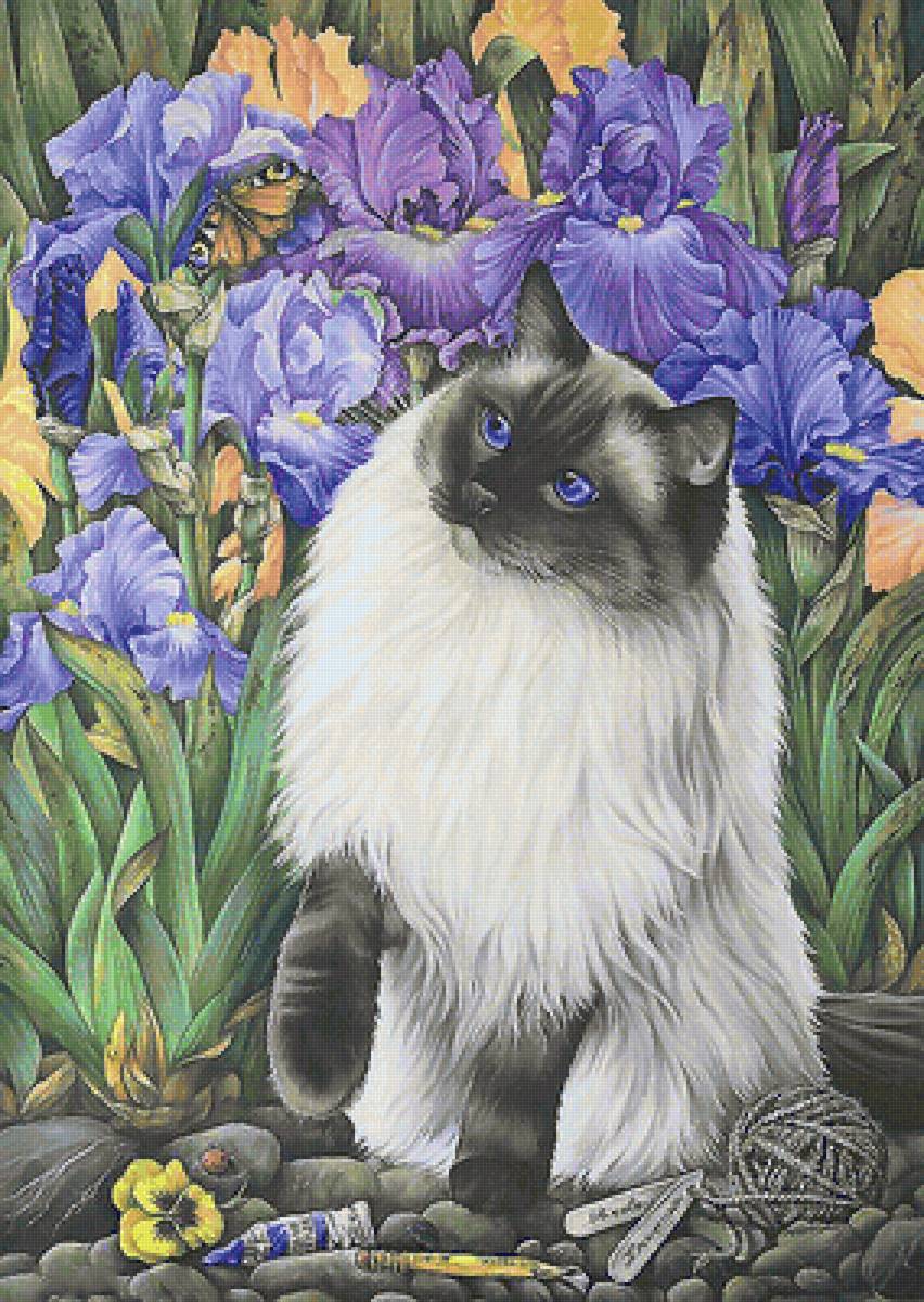 Кот в цветах - цветы, кот - предпросмотр