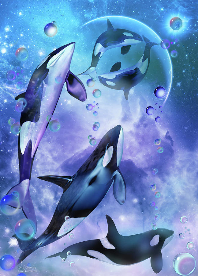 orcas - mar - оригинал