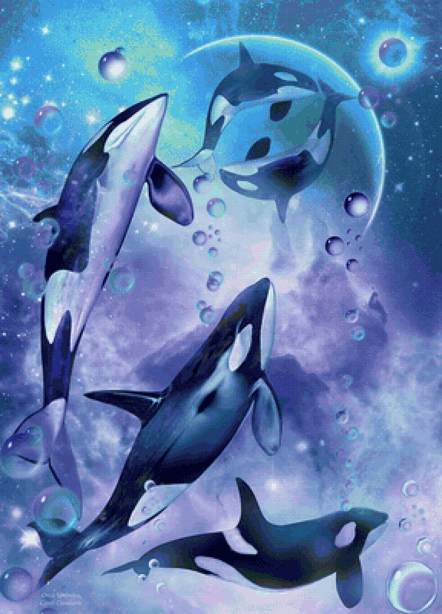 orcas - mar - предпросмотр
