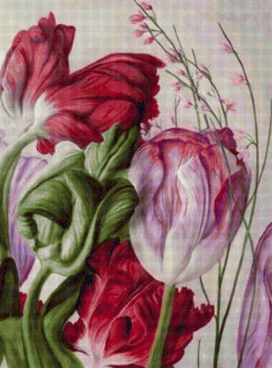 Tulipanes lot - flores - предпросмотр