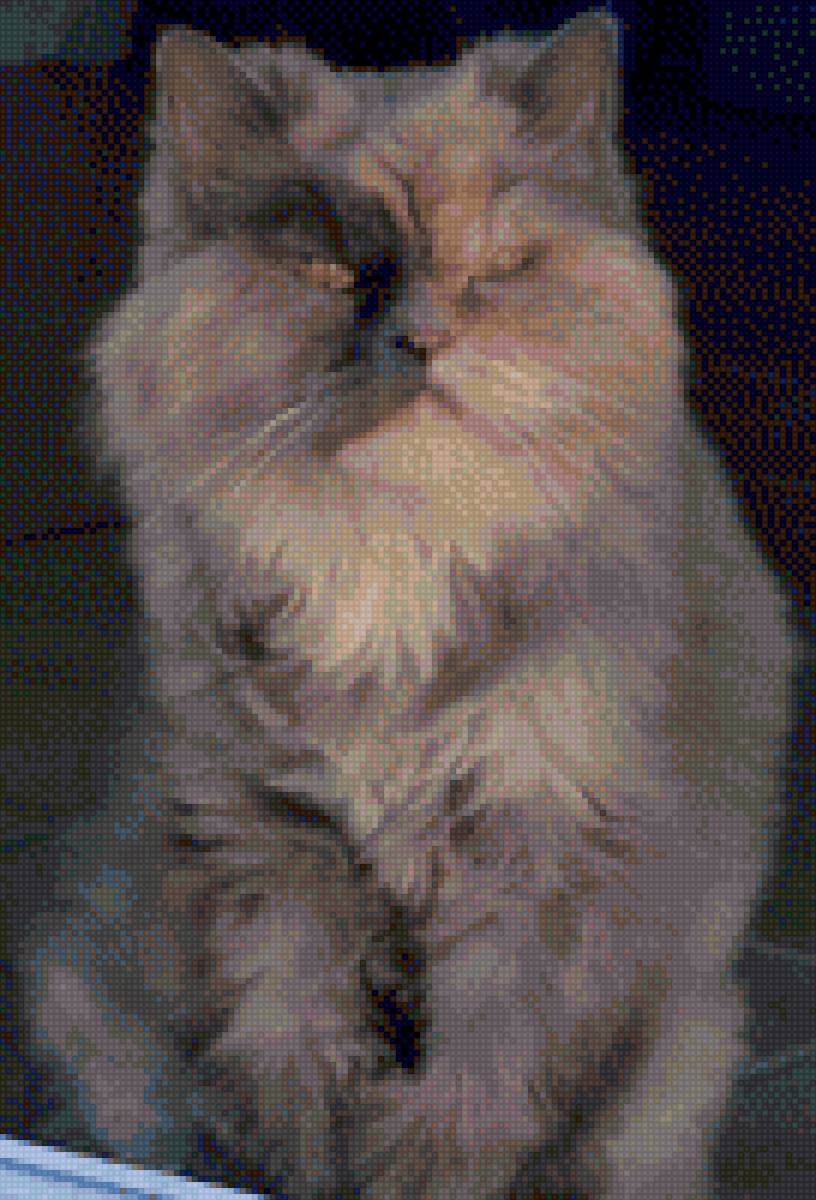 Nany - предпросмотр