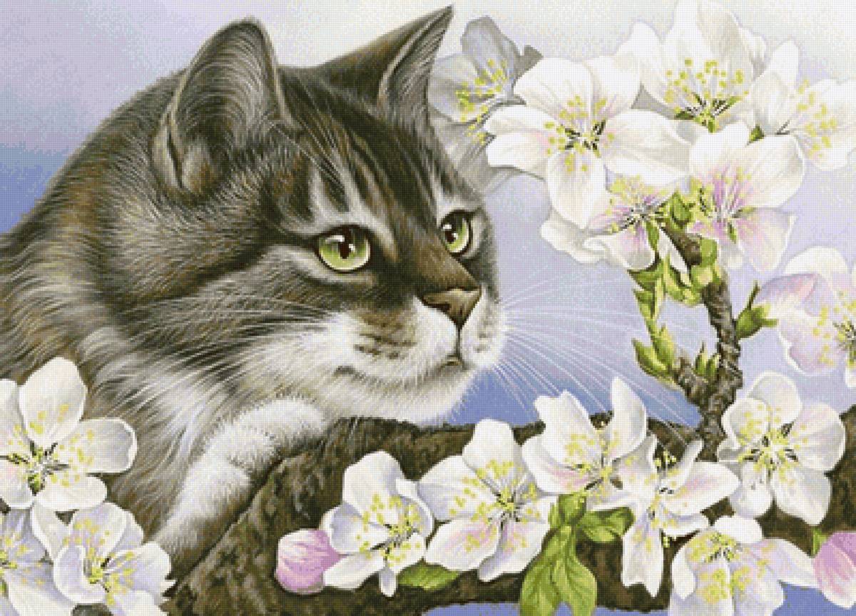 Кот в цветах - кот, цветы - предпросмотр