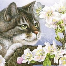 Кот в цветах