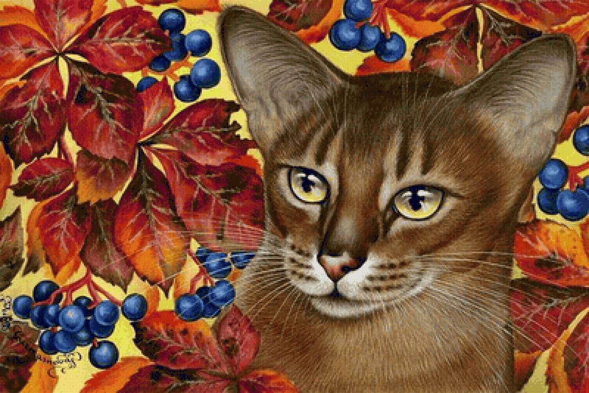 Gato  exótico. - animais. frutas. - предпросмотр