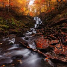 Autumn Stones Stream Foliage Moss