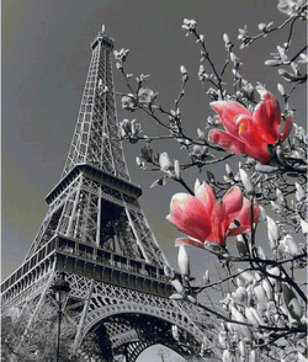 париж - эйфелева башня, монохром, париж - предпросмотр