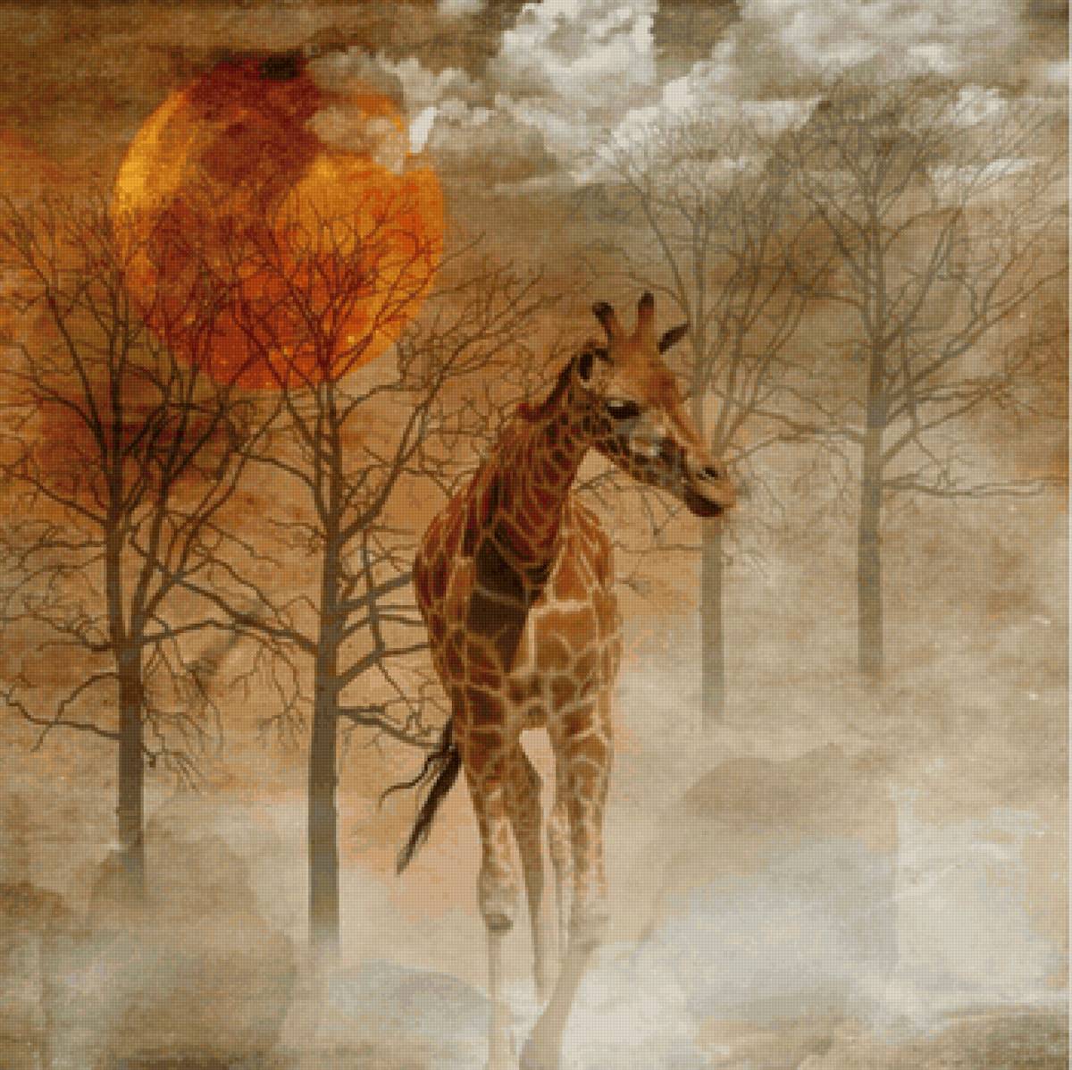 Жираф - жираф, природа, животные, солнце, африка - предпросмотр