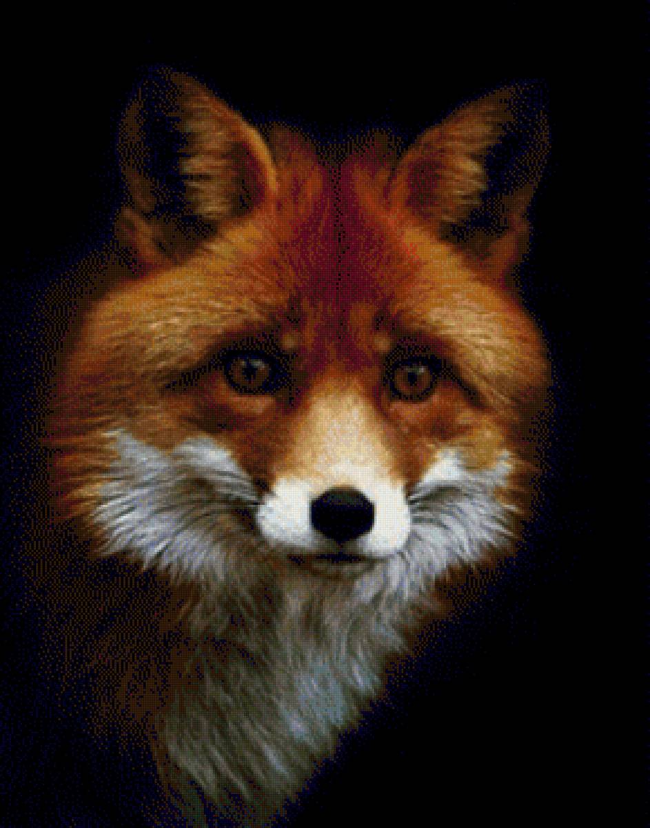 Лис - предпросмотр