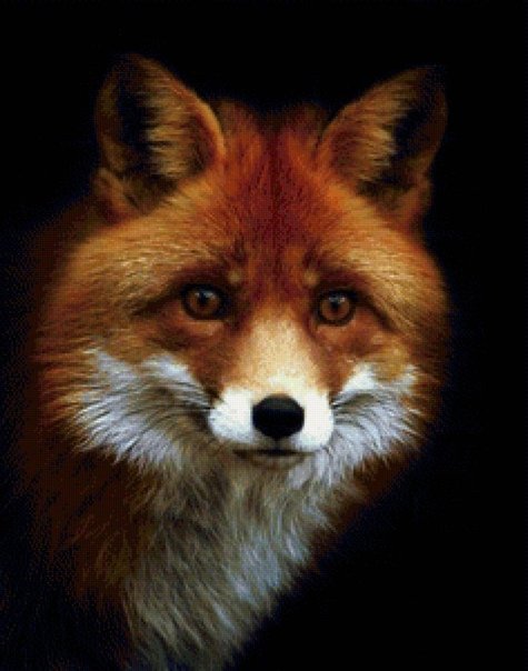 Лис 2 - оригинал