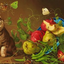 Схема вышивки «кот»