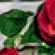 Предпросмотр схемы вышивки «розы» (№2373950)