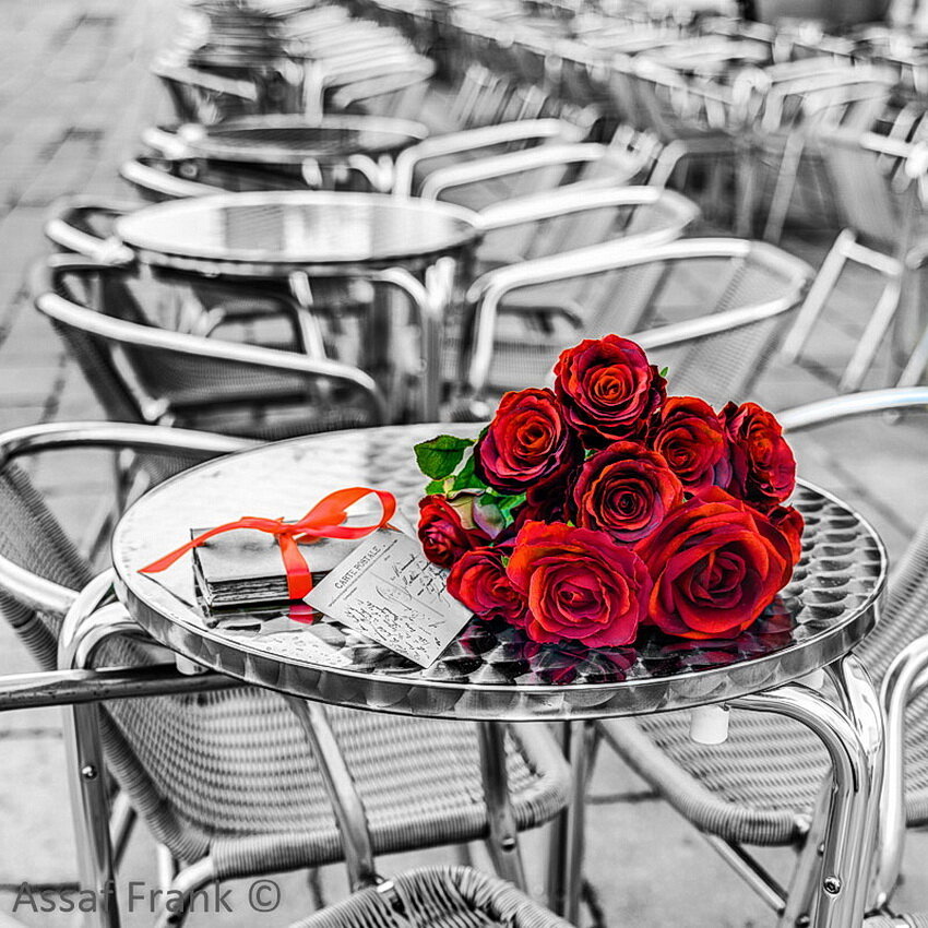 розы - город, розы, монохром, кафе - оригинал