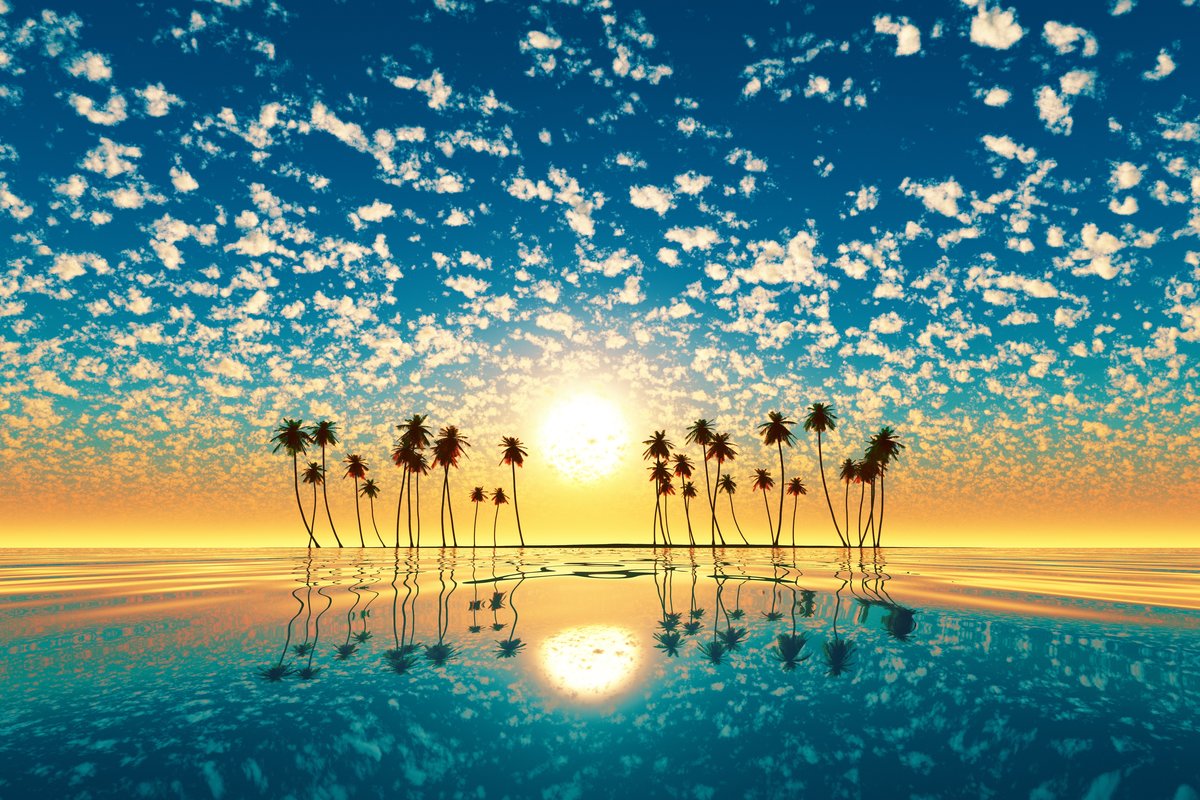 Пальмовый рассвет - солнце, пальмы, море - оригинал