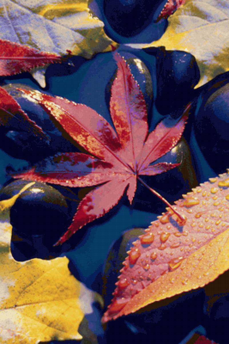 Разноцветная осень 4 - листья, осень - предпросмотр