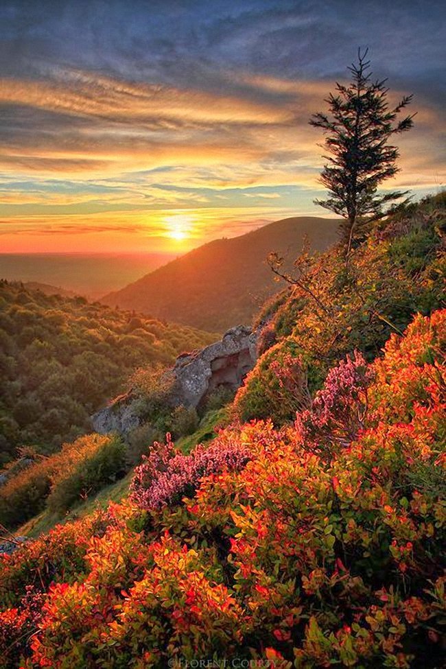 Закат в горах - закат, горы, небо - оригинал