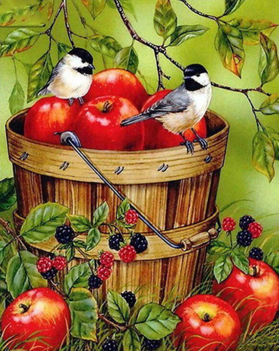 Птички на яблоках - дерево, ягоды, птицы, ведро, лето, яблоки - оригинал