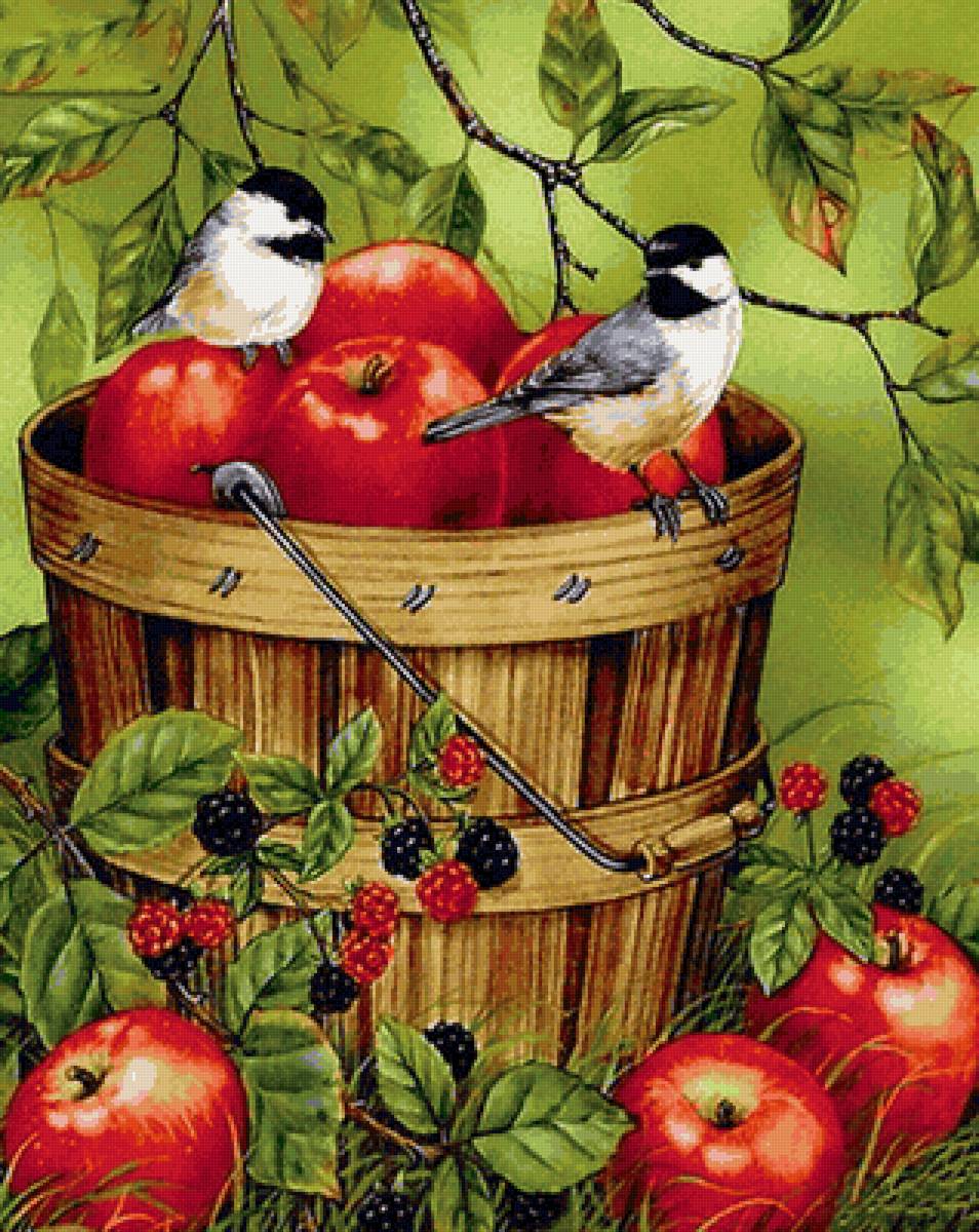 Птички на яблоках - ведро, ягоды, яблоки, лето, птицы, дерево - предпросмотр