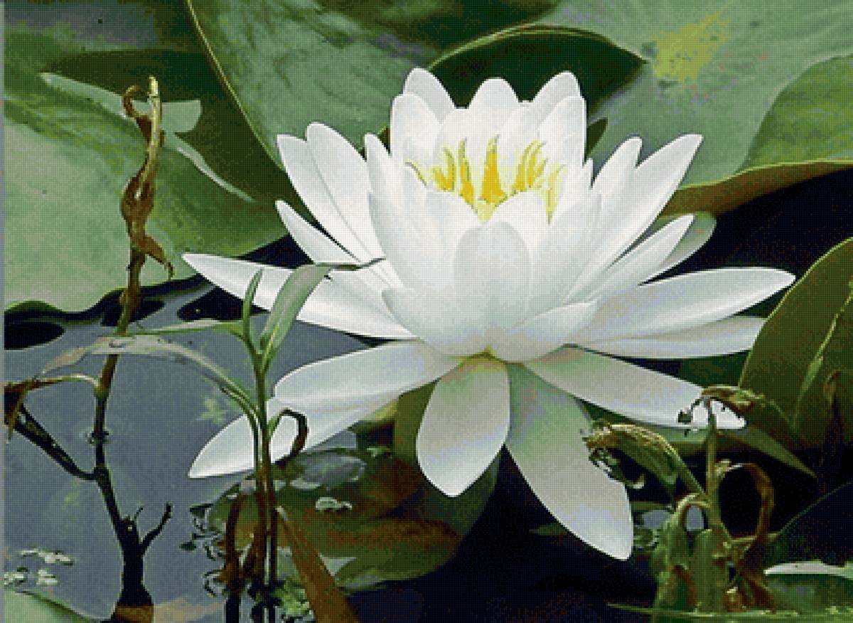 №2374780 - предпросмотр