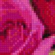 Предпросмотр схемы вышивки «композиция в ящике из живых цветов» (№2374878)