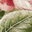 Предпросмотр схемы вышивки «Цветы» (№2374922)