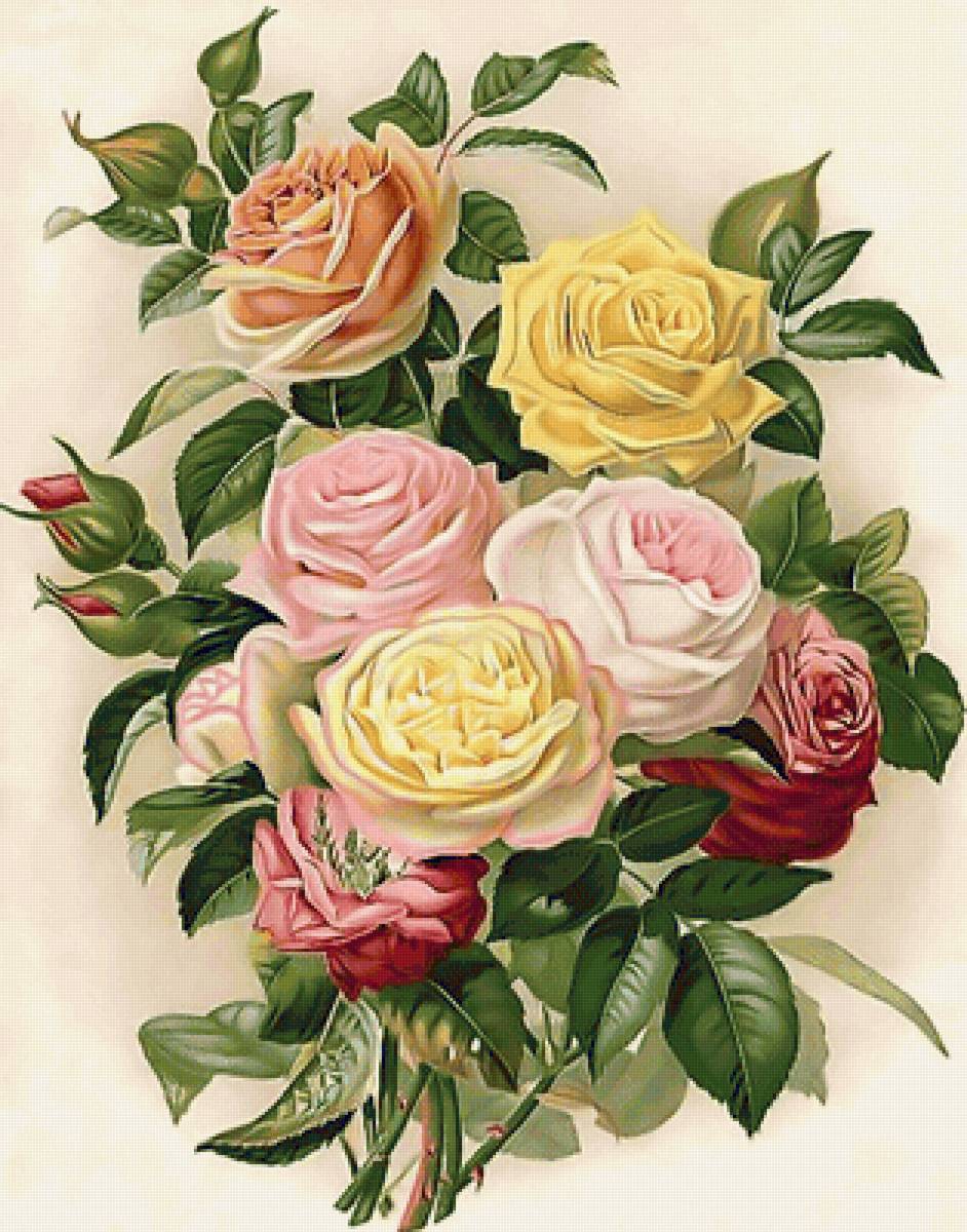 Розы - розы - предпросмотр