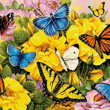 Оригинал схемы вышивки «бабочки» (№2375256)