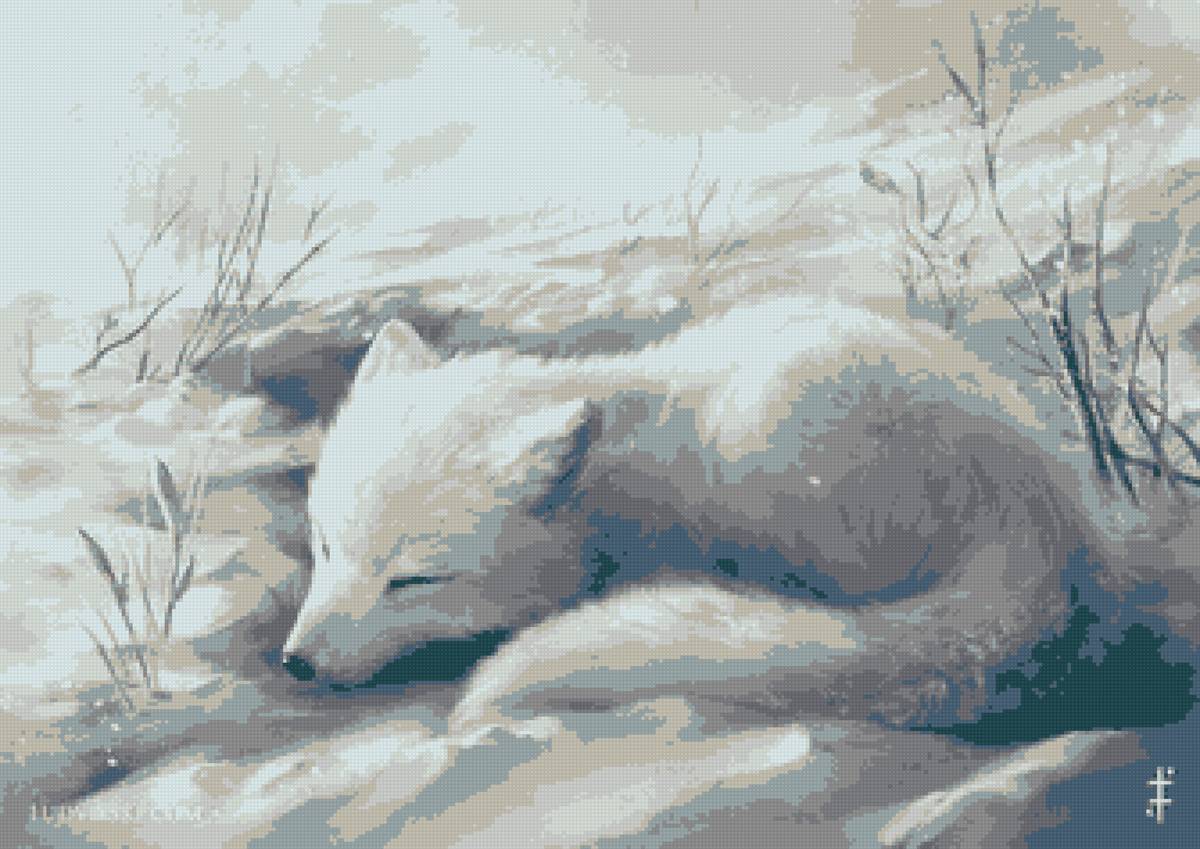 песец - зима, песец - предпросмотр