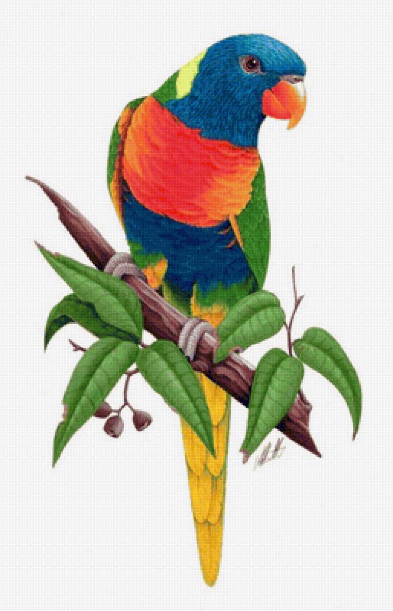 Pássaro. - pássaros. - предпросмотр