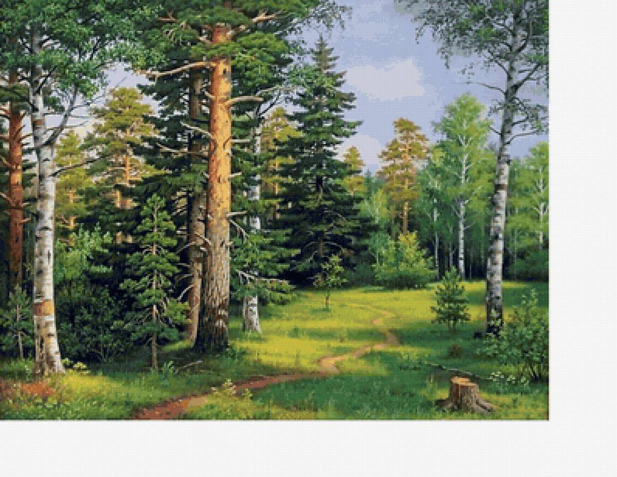 Летом в лесу - лето, лес, природа - предпросмотр