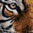 Предпросмотр схемы вышивки «Тигры на водопое» (№2376903)