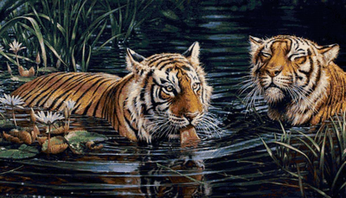 Тигры на водопое - художники - предпросмотр