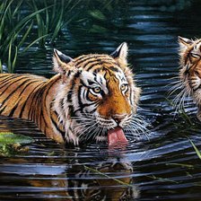 Схема вышивки «Тигры на водопое»