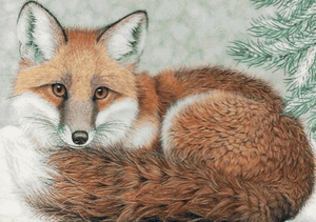 дикие - предпросмотр