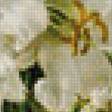 Предпросмотр схемы вышивки «живопись маслом цветы сесил кеннеди» (№2377516)
