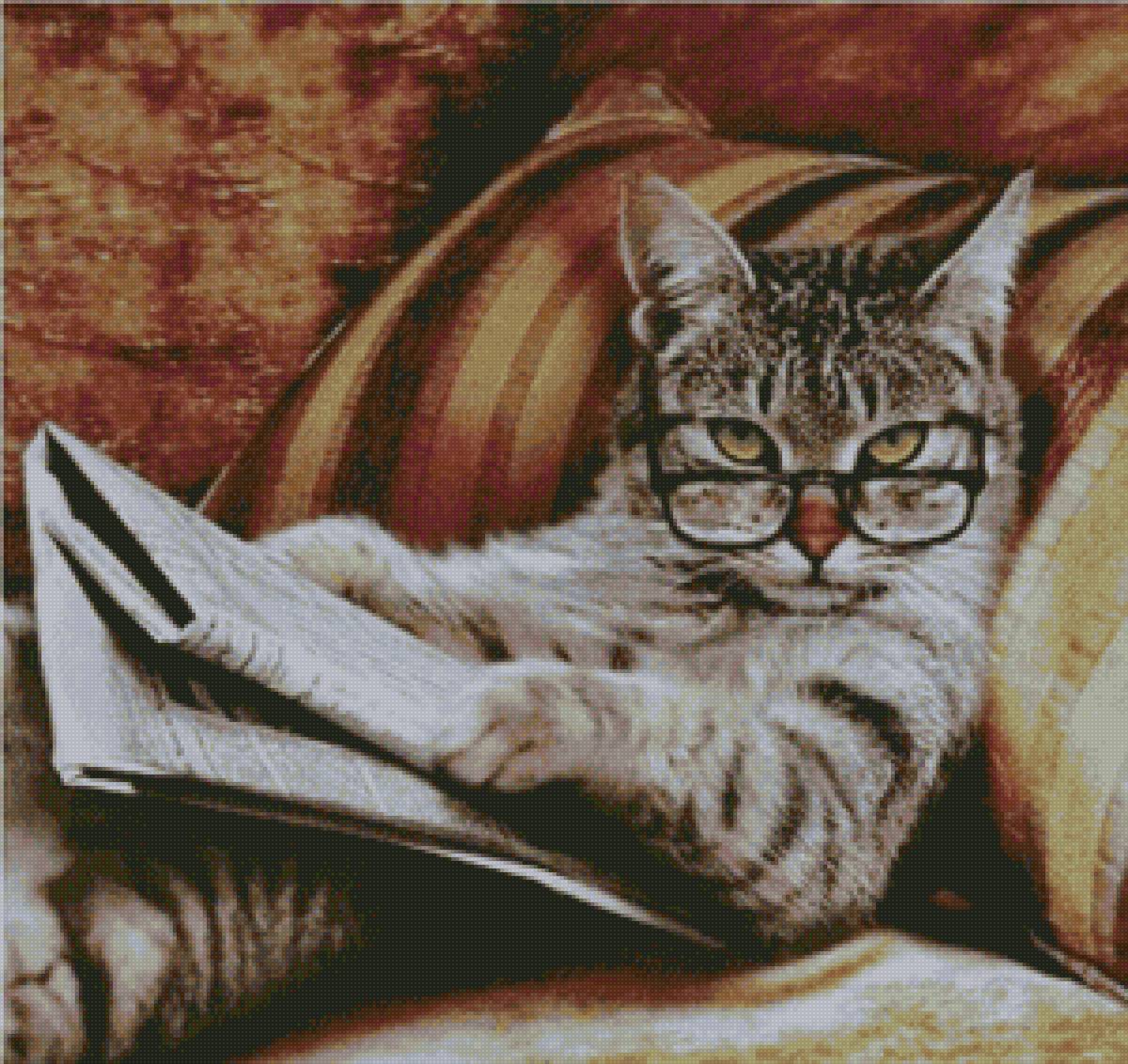 Кот в очках - предпросмотр