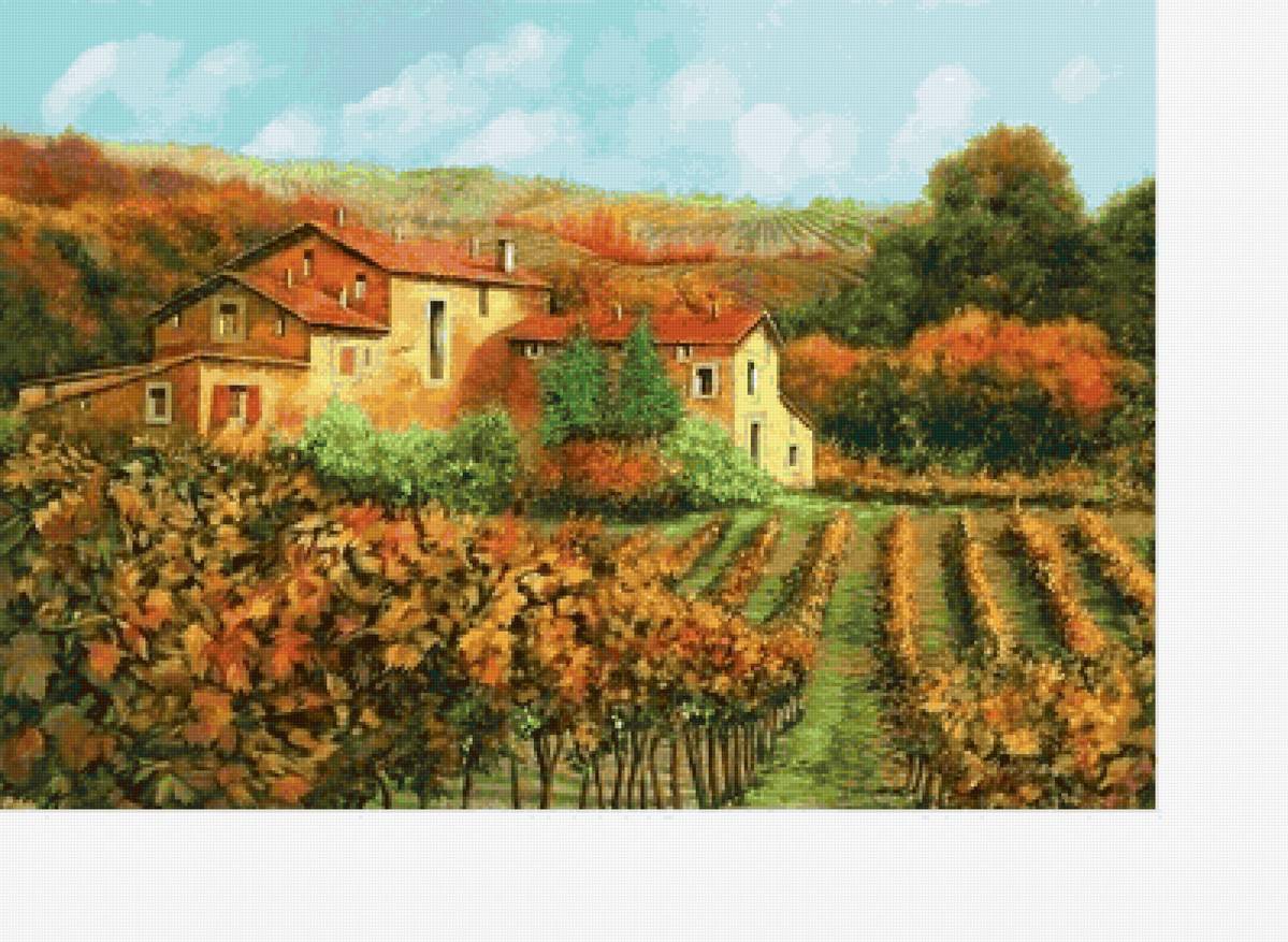 Виноградник - природа, виноградник, пейзаж - предпросмотр