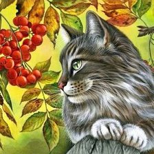 Схема вышивки «Кот»