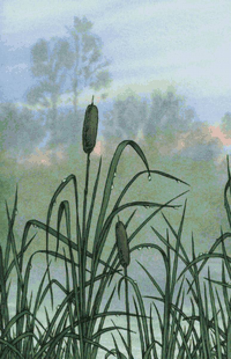 После дождя - природа, озеро, лето, дождь, камыши - предпросмотр