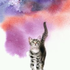 Радужный кот