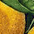 Предпросмотр схемы вышивки «Лимоны» (№2378271)