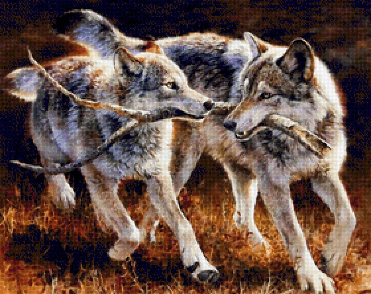 Волки и палка - волки - предпросмотр