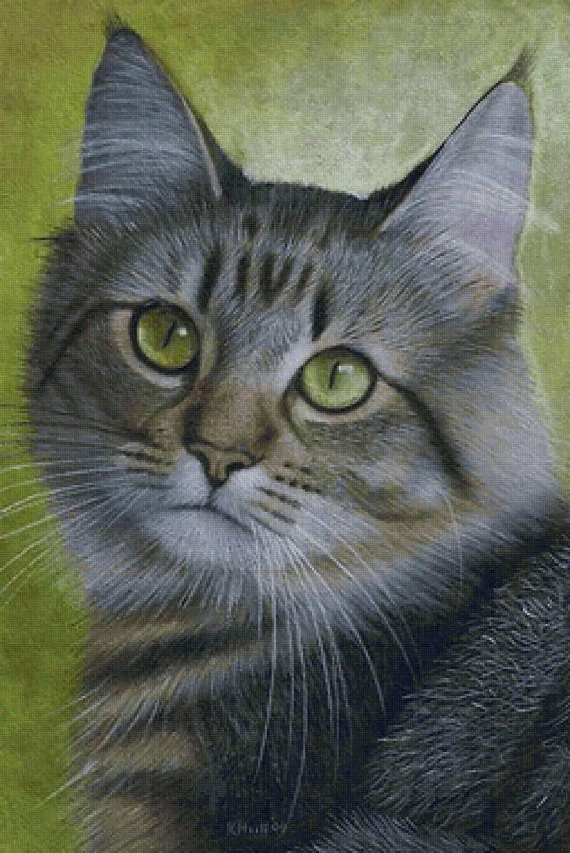 Мой кот,, Томас,, - предпросмотр