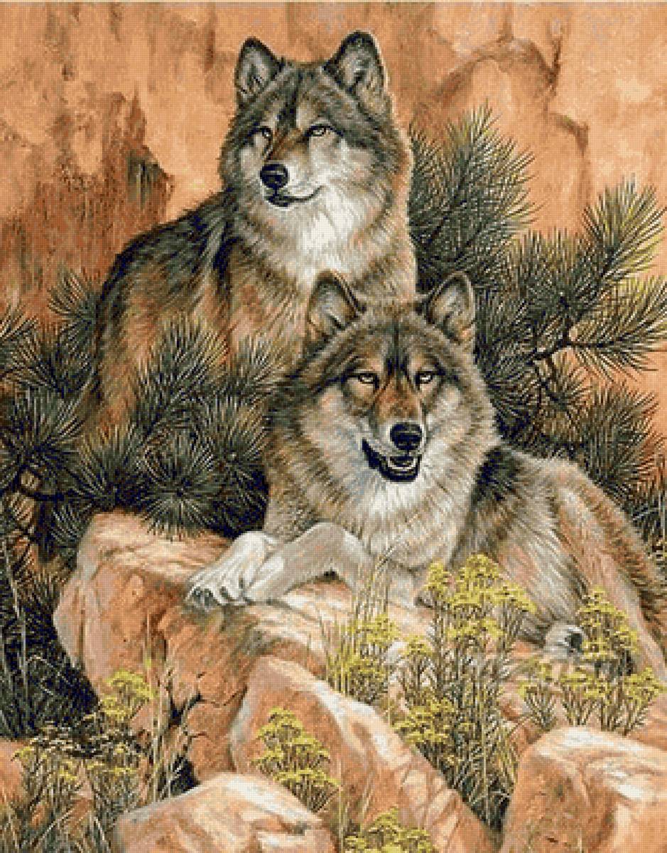 lobos en lo alto - naturaleza - предпросмотр