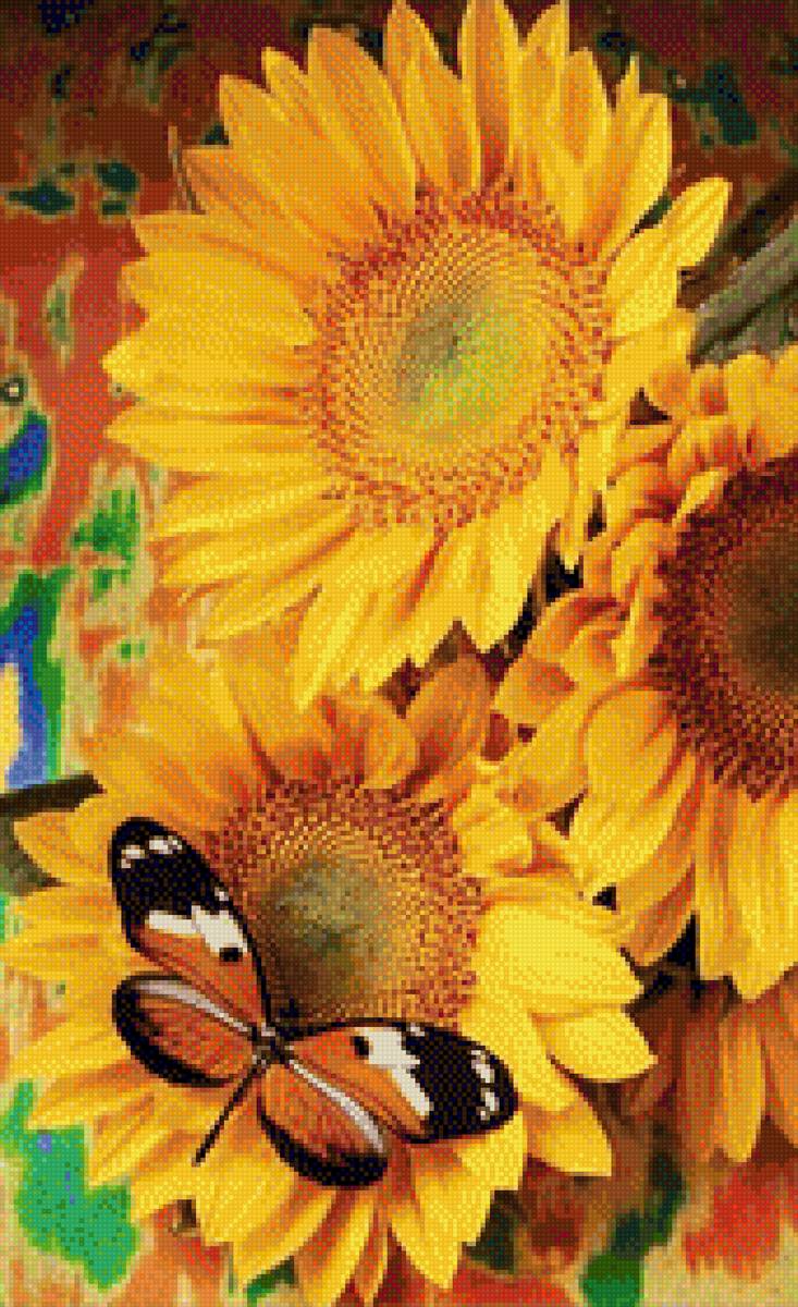 Подсолнух - бабочка, подсолнух - предпросмотр