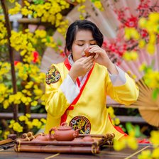 Схема вышивки «Chân dung»