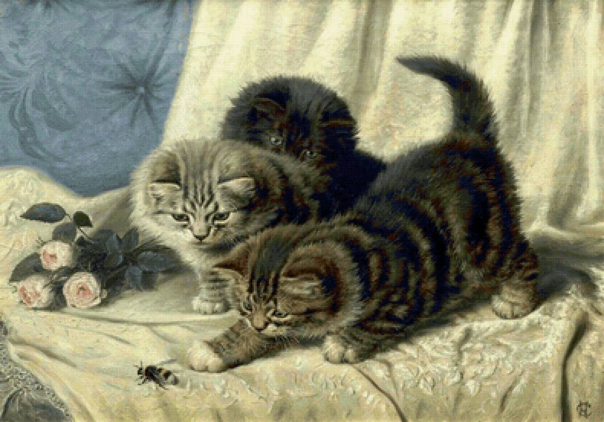 Котята с мухой - предпросмотр