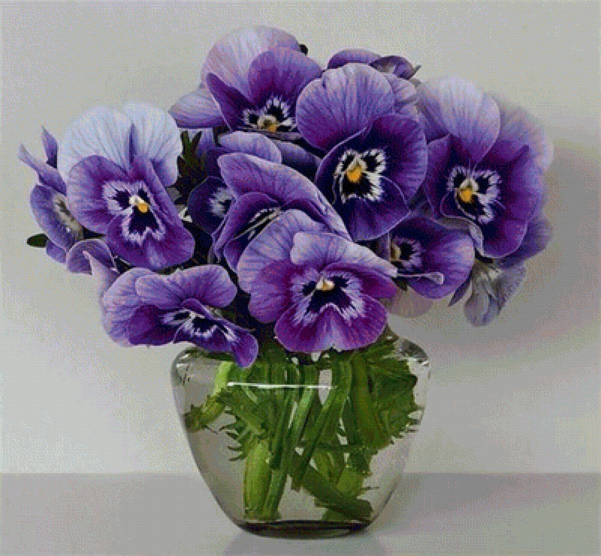 Анютины глазки - анютины глазки, фиолетовый, цветы - оригинал