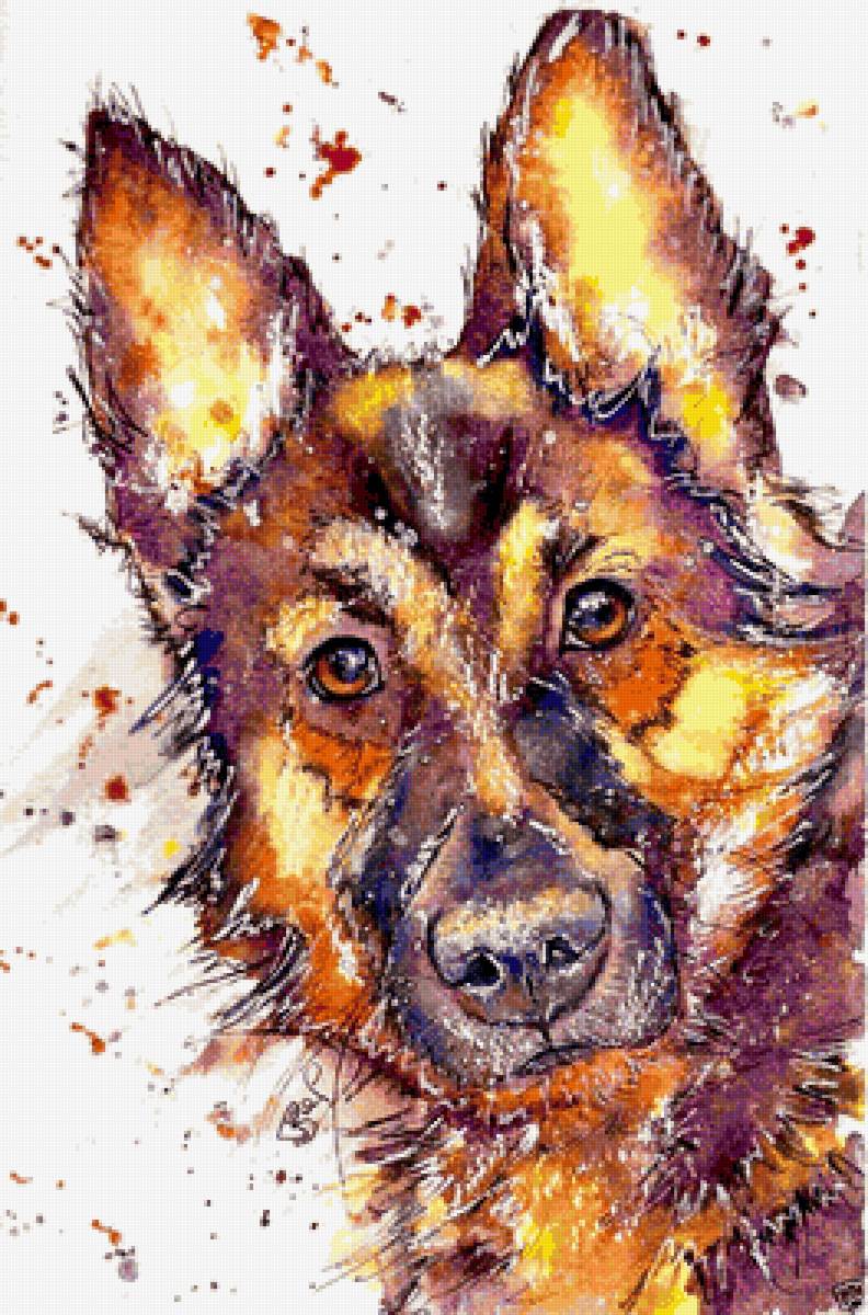 Овчарка. Акварель - художники - предпросмотр