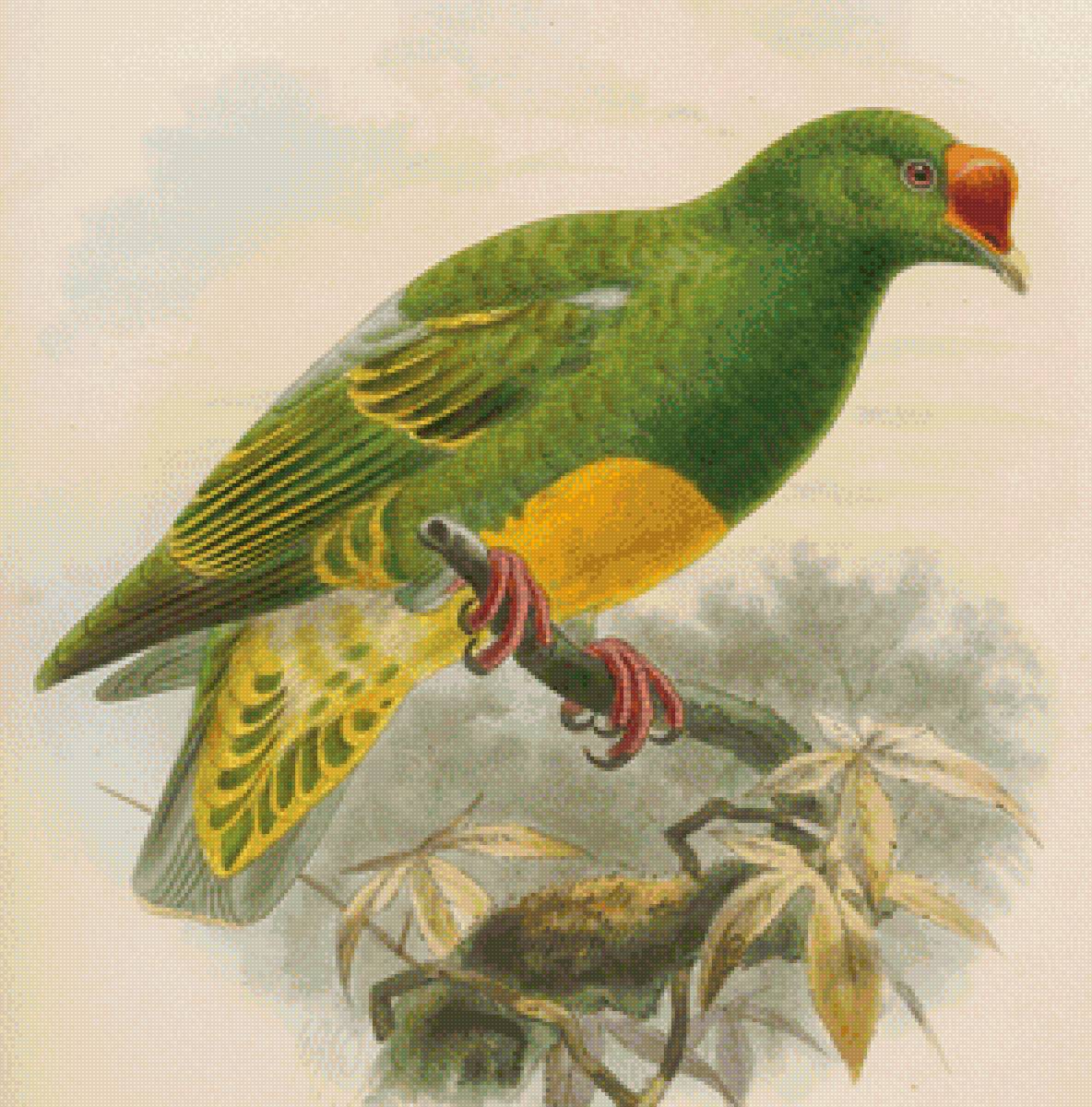 кёлеманс йоханнес герард - птицы, картинка - предпросмотр